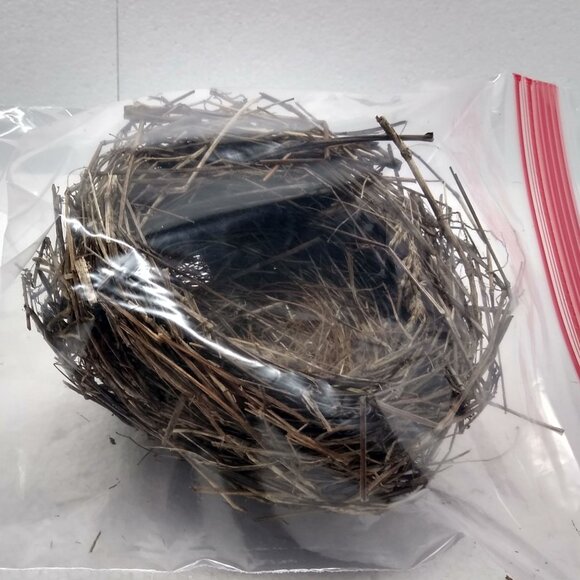 Authentic Natural Bird Nest 2011 Joplin Missouri Tornado Aftermath Unique Rustic - Picture 8 of 8